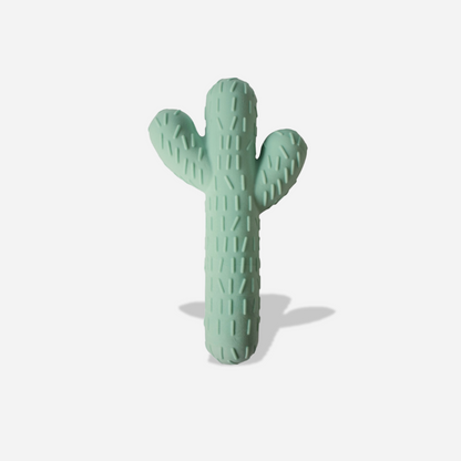 Cactus Chew Toy