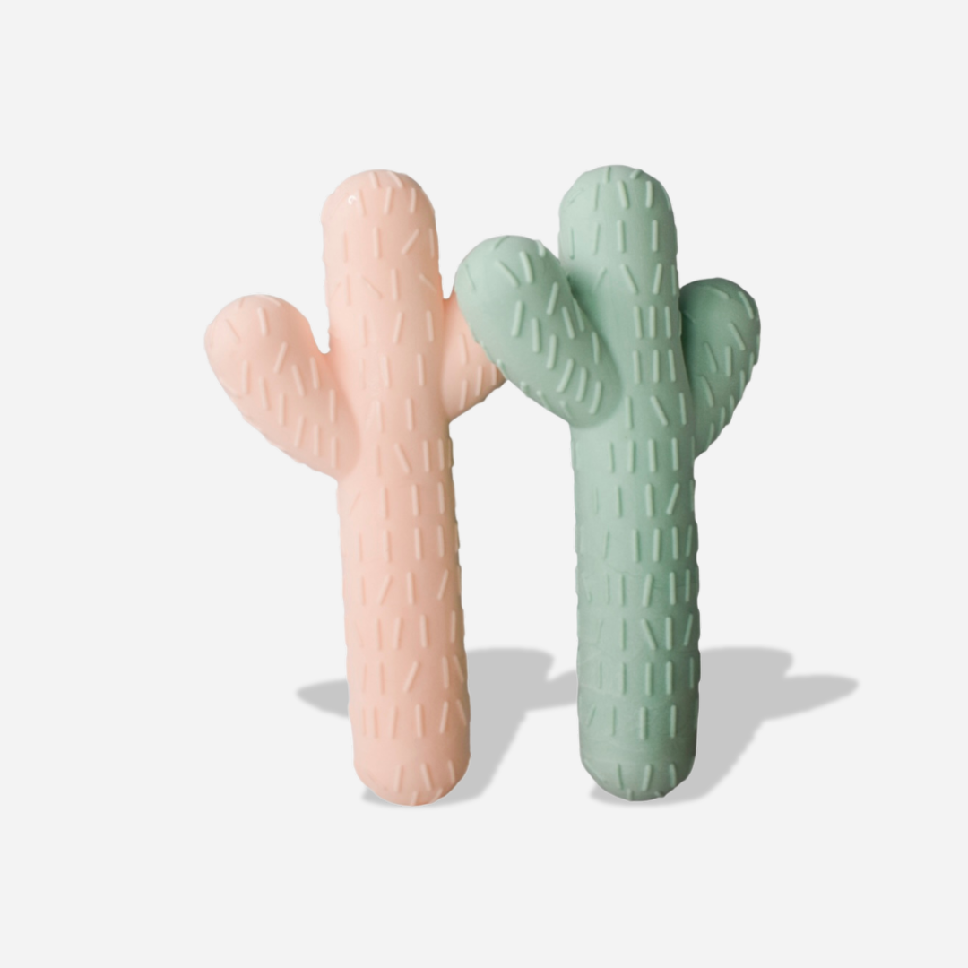 Cactus Chew Toy Bundle