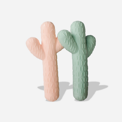 Cactus Chew Toy Bundle